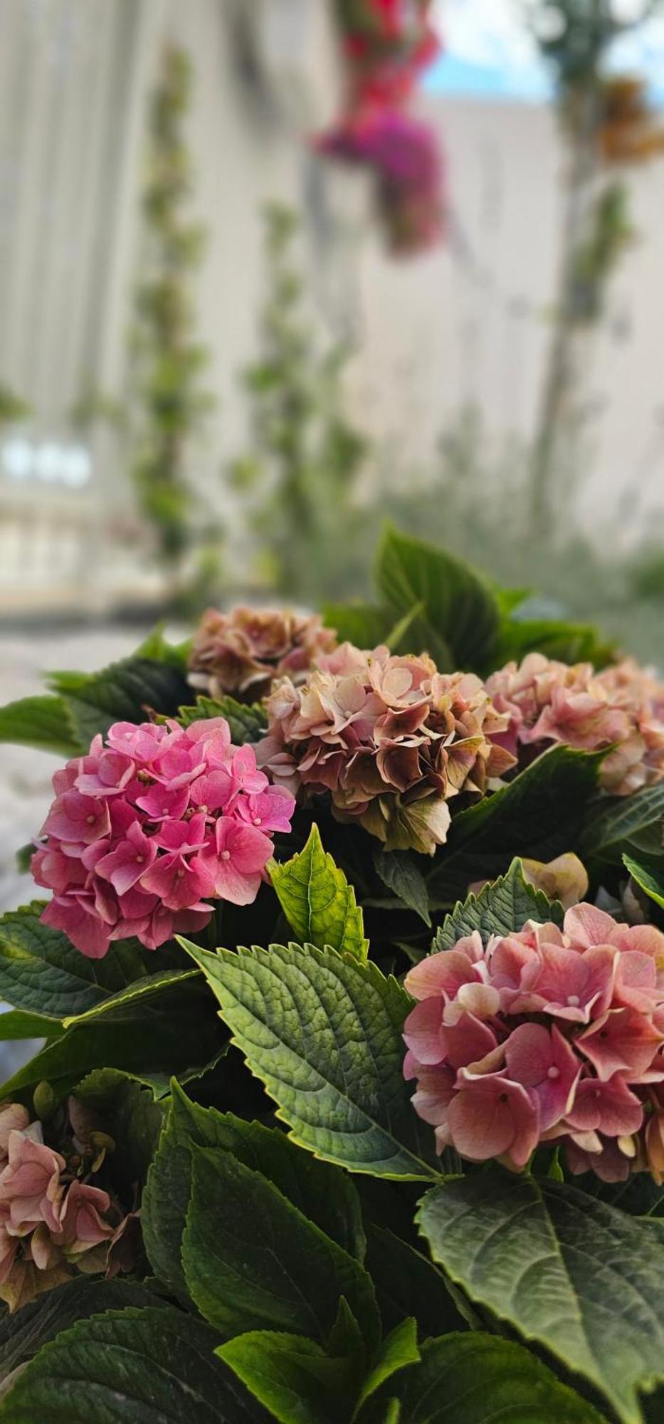 그라나다 Albayda Garden 아파트 외부 사진
